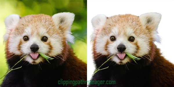 Image Masking Service