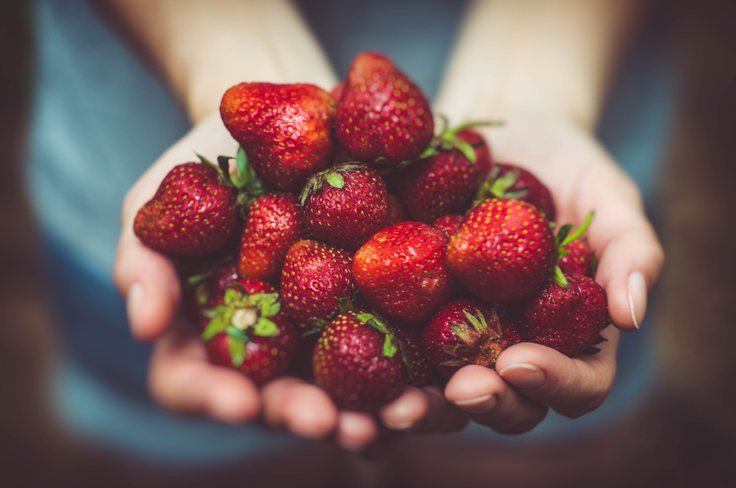 human touch food photography