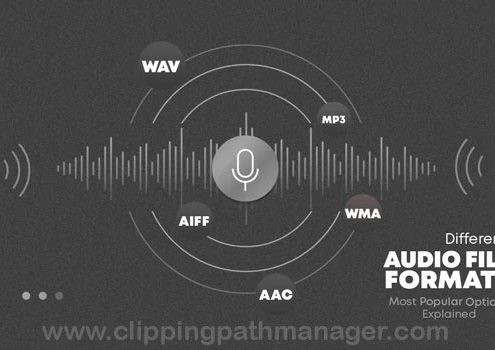 Different Audio File Formats