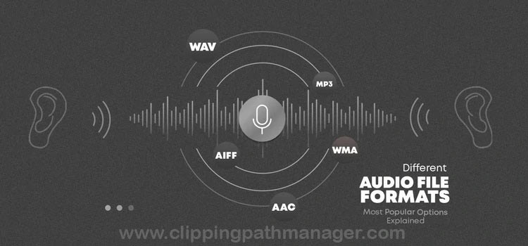 Different Audio File Formats