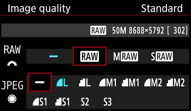 Try The Raw Format While Taking Pictures